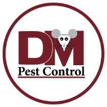 Best DM Pest Control in Central Texas
