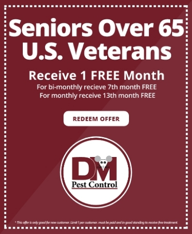 Best Deal for Over 65 U.S Veterans