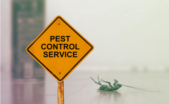 BEST PEST CONTROL SERVICES IN LEANDER, TX | DM Pest Control