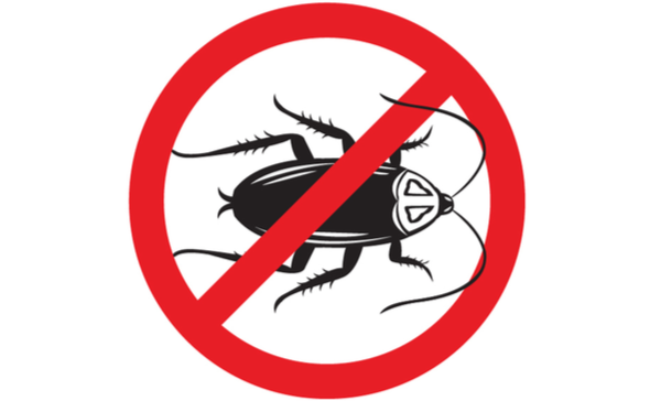 Choosing pest control services in Round Rock | DM Pest Control
