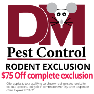 Rodent Exclusion