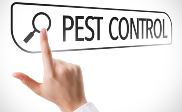 The Best Commercial Pest Control Company in Leander, TX