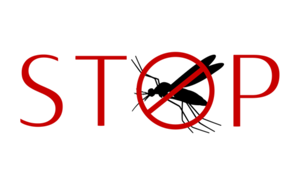 The Best Mosquito Control in Leander, TX | DM Pest Control