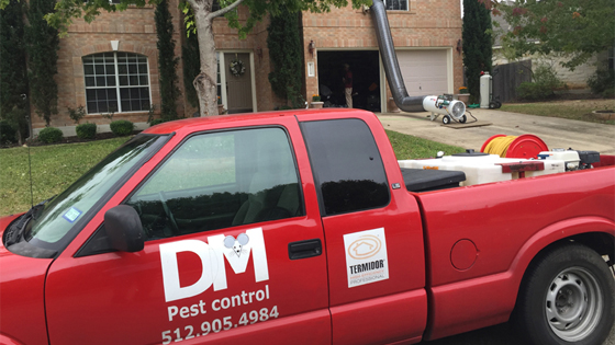 Bed Bug Removal Austin TX