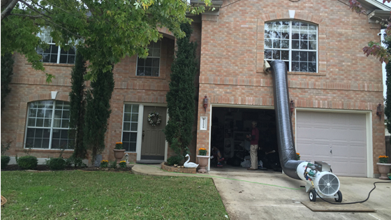 Bed Bug Removal Austin TX
