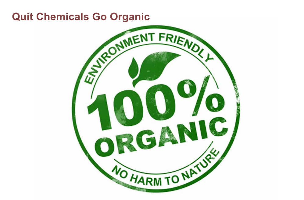 Pest Control? Quit Chemicals Go For Organic Pest Control